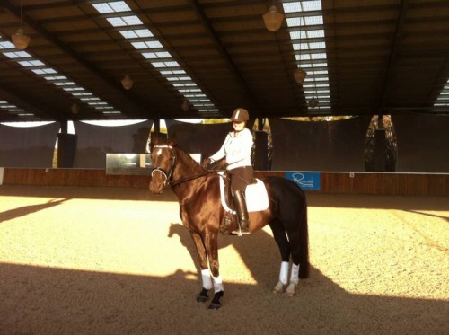 While I was walking around I met Deb Hodgson riding her youngster Belvas Shaniah in the indoor