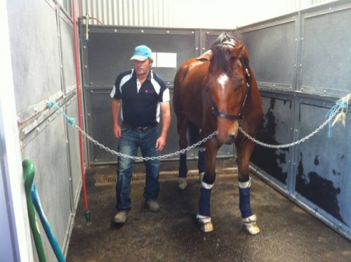 The wash bay for competitors, here is Wes bandaging King Arthur