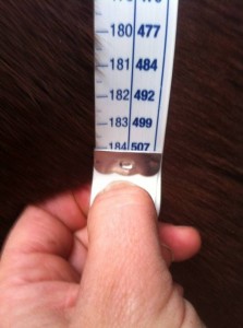 Volta's weight for May 507kg