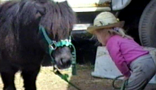 Sarah checking Midgets hooves