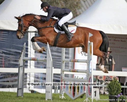 Wes & LH King Arthur in the Australian Championship Future Stars class