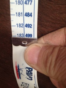 Volta's weight for August