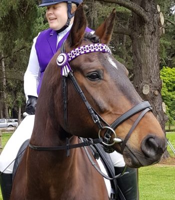 New browband