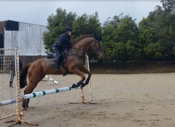 Ebony jumping Yarni