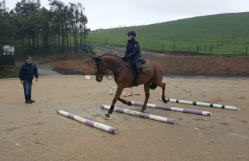 Ebony & Yarni over the trot poles