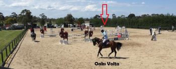 Oaks Volta in the presentation
