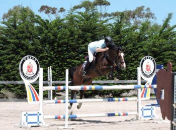 Wes & Oaks Volta on course 1.20m