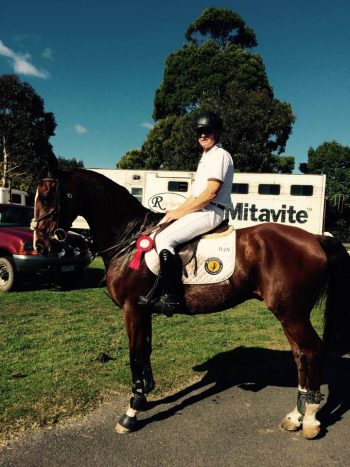LH Beckham always placing in the big classes