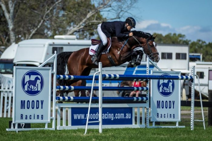 Oaks Volta looking very impressive over the 1.35m oxer
