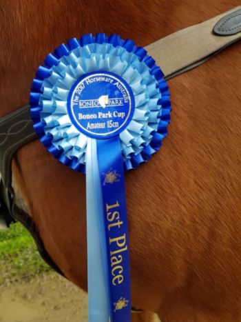 Stunning Rosette one to keep