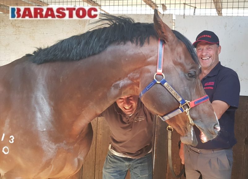 Maintain performance horses properly