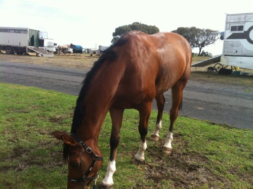 Arthur picking grass after his class