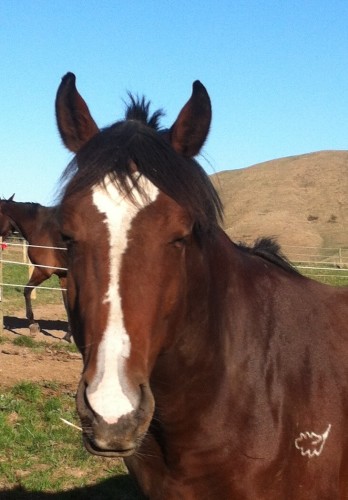 Volta showing his cute look!