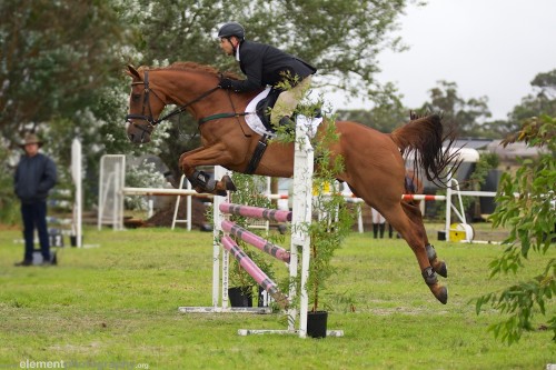 This picture shows how through sheer persistence and hard work the rewards come not long after