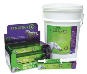 Strategy T Family(New)
