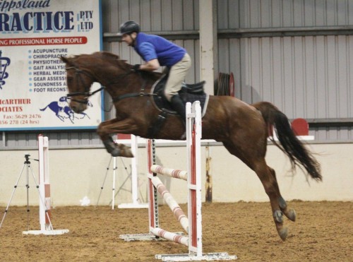 This picture is showing the combinations great style over the straight fence.
