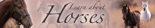online magazine