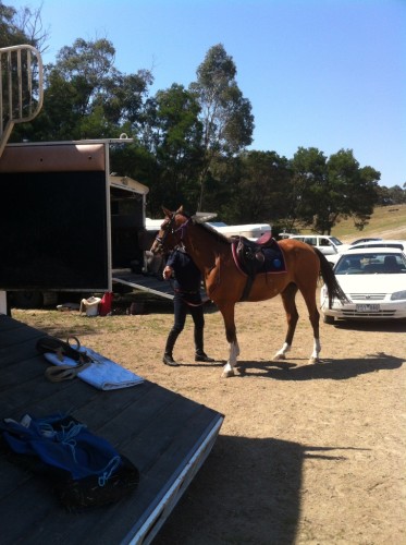 Almost ready, its all new when its thei very first time out. The truck trip was a first now the ride around.