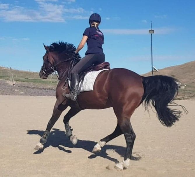 Oaks Volta & Tiffany