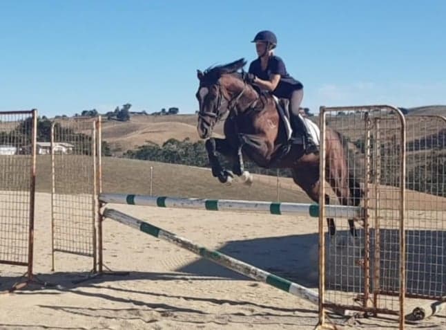 Oaks Volta & Tiffany
