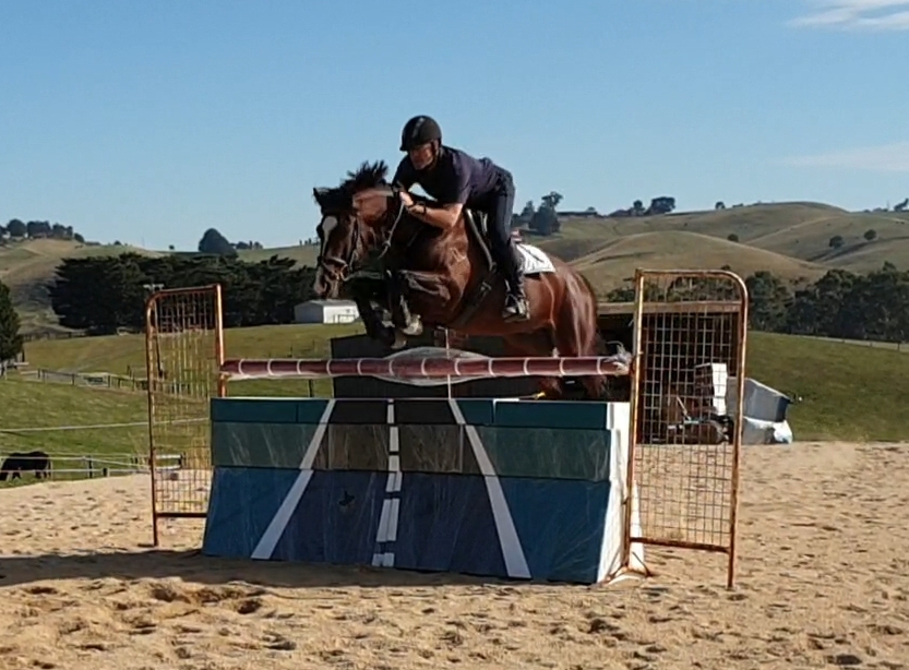 Oaks Volta Showjumps