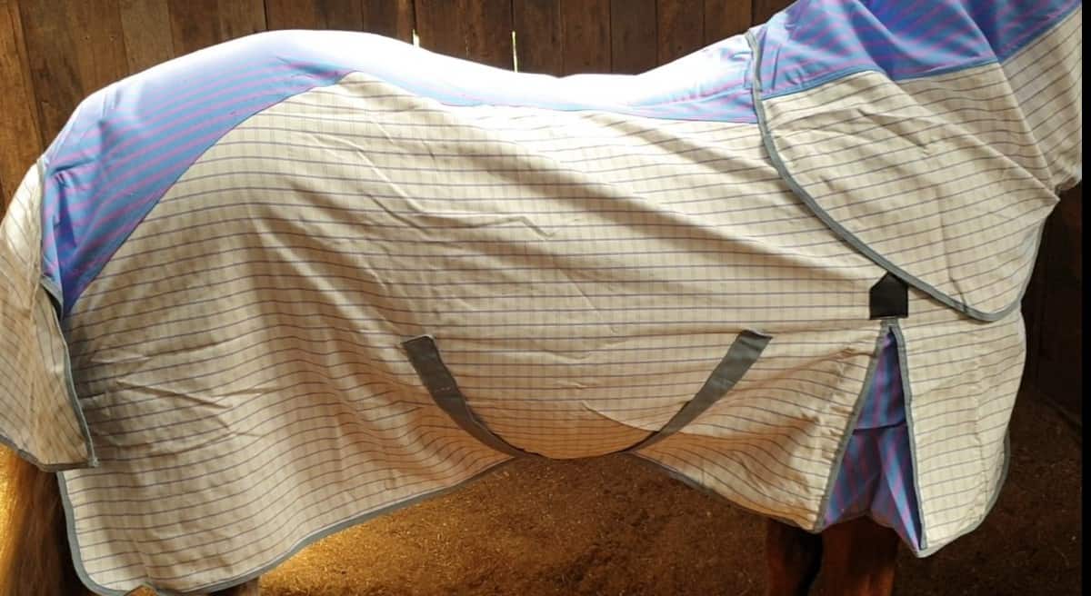 Weatherbeeta Summer Sheet Combo