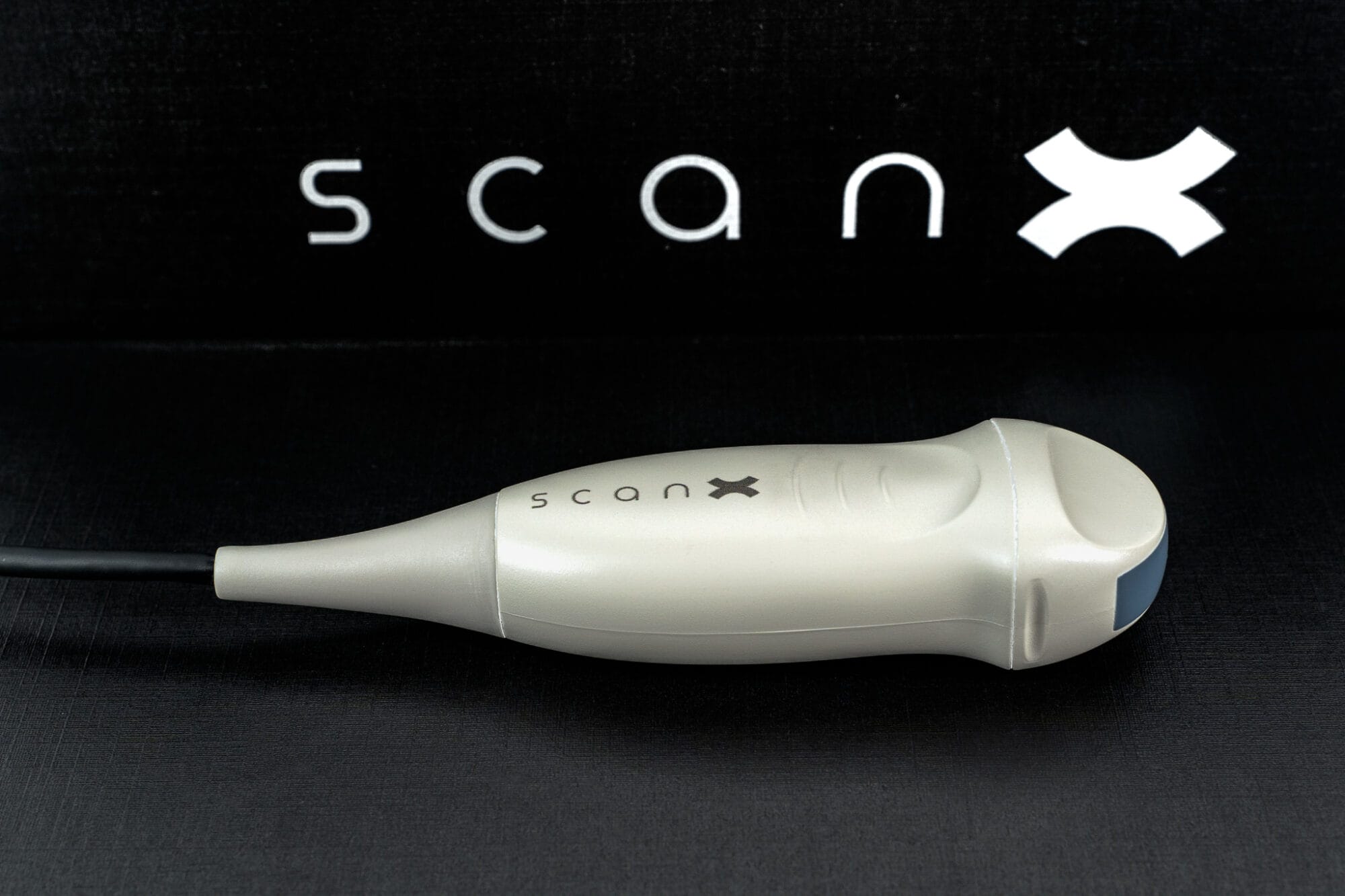 What is a probe? - Lals Haven Warmbloods